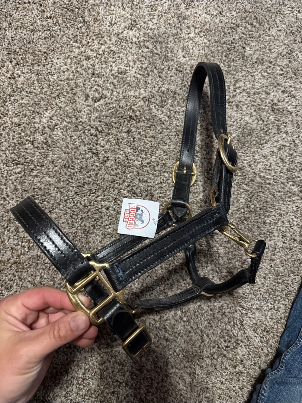 New PONY sized leather halter